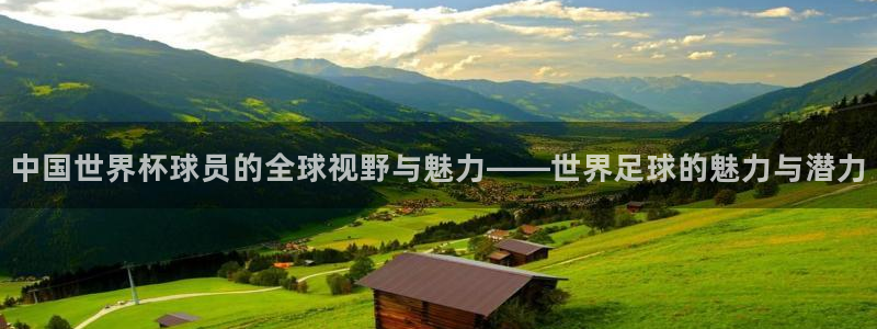 世界杯 2026：中国世界杯球员的全球视野与魅力——世界足球的魅力与潜力