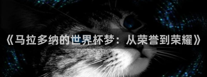 世界杯比赛：《马拉多纳的世界杯梦：从荣誉到荣耀》