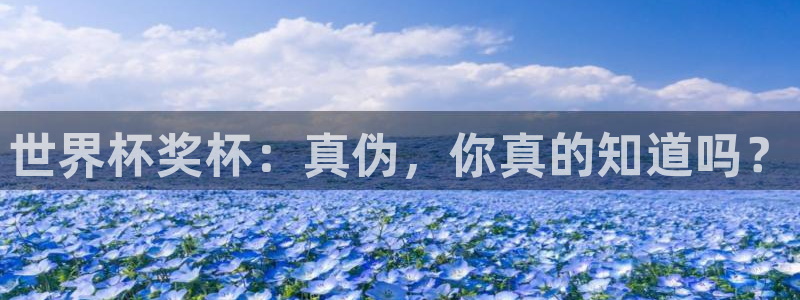 足球世界杯预选赛：世界杯奖杯：真伪，你真的知道吗？