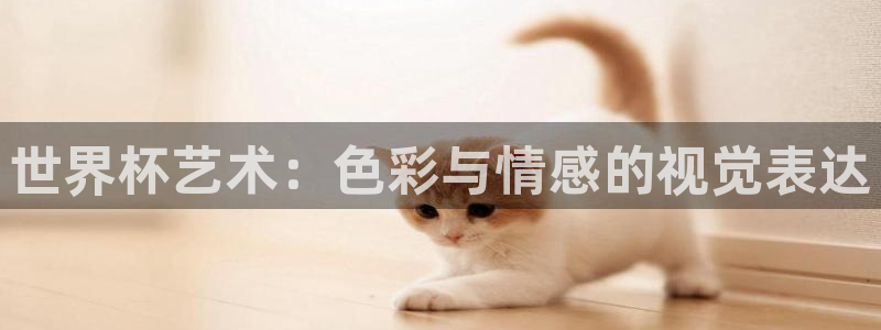 足球世界杯预选赛：世界杯艺术：色彩与情感的视觉表达