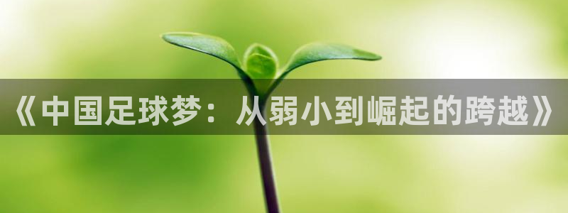 2026年世界杯赛程表时间：《中国足球梦：从弱小到崛起的跨越》