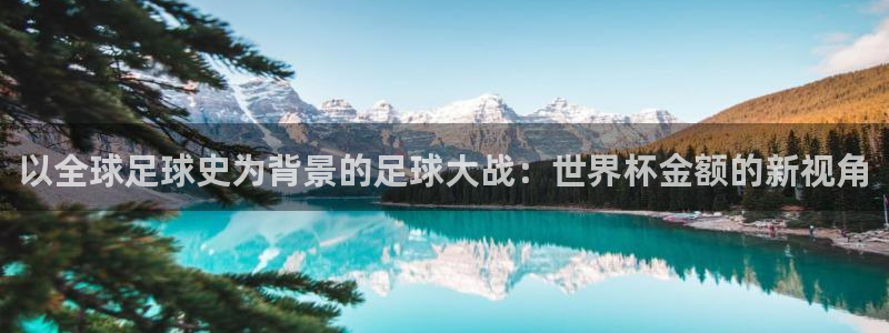 2026世界杯德国队阵容：以全球足球史为背景的足球大战：世界杯金额的新视角