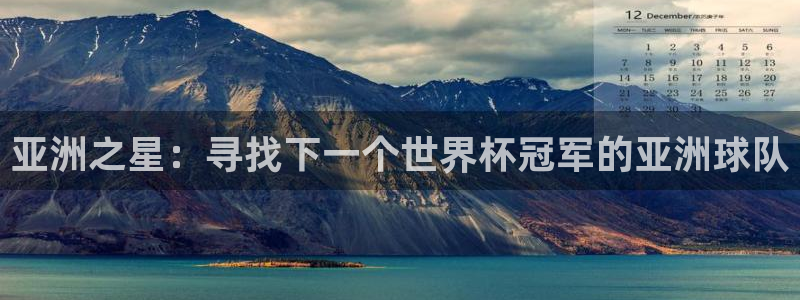 世界杯球队排名：亚洲之星：寻找下一个世界杯冠军的亚洲球队