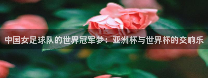 世预赛赛程表：中国女足球队的世界冠军梦：亚洲杯与世界杯的交响乐