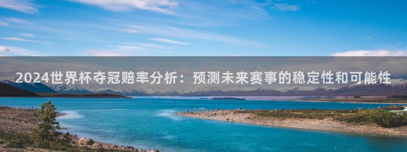 2006年世界杯冠军：2024世界杯夺冠赔率分析：预测未来赛事的稳定性和可能性