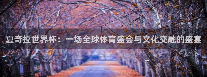 世界杯 中国：夏奇拉世界杯：一场全球体育盛会与文化交融的盛宴