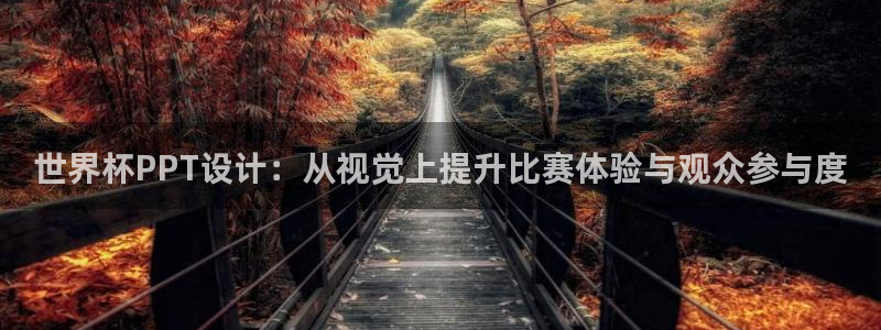 世界杯 赛程：世界杯PPT设计：从视觉上提升比赛体验与观众参与度