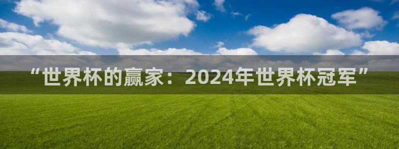 2026世预赛全部赛程：“世界杯的赢家：2024年世界杯冠军”