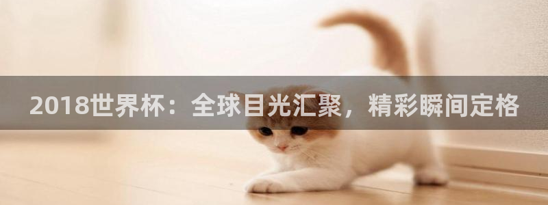 亚洲区世界杯预选赛：2018世界杯：全球目光汇聚，精彩瞬间定格