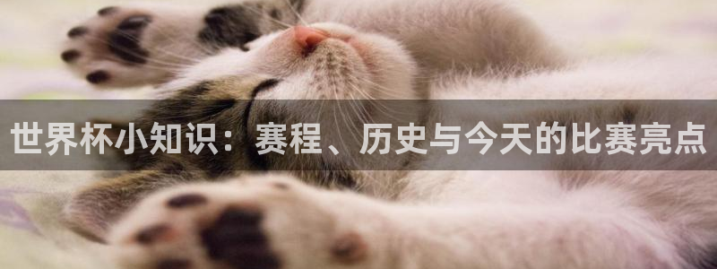 世界杯赛程表2026：世界杯小知识：赛程、历史与今天的比赛亮点