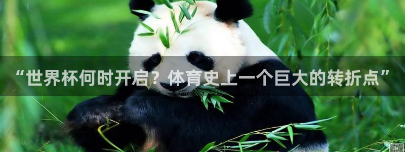 世界杯48支球队赛制：“世界杯何时开启？体育史上一个巨大的转折点”